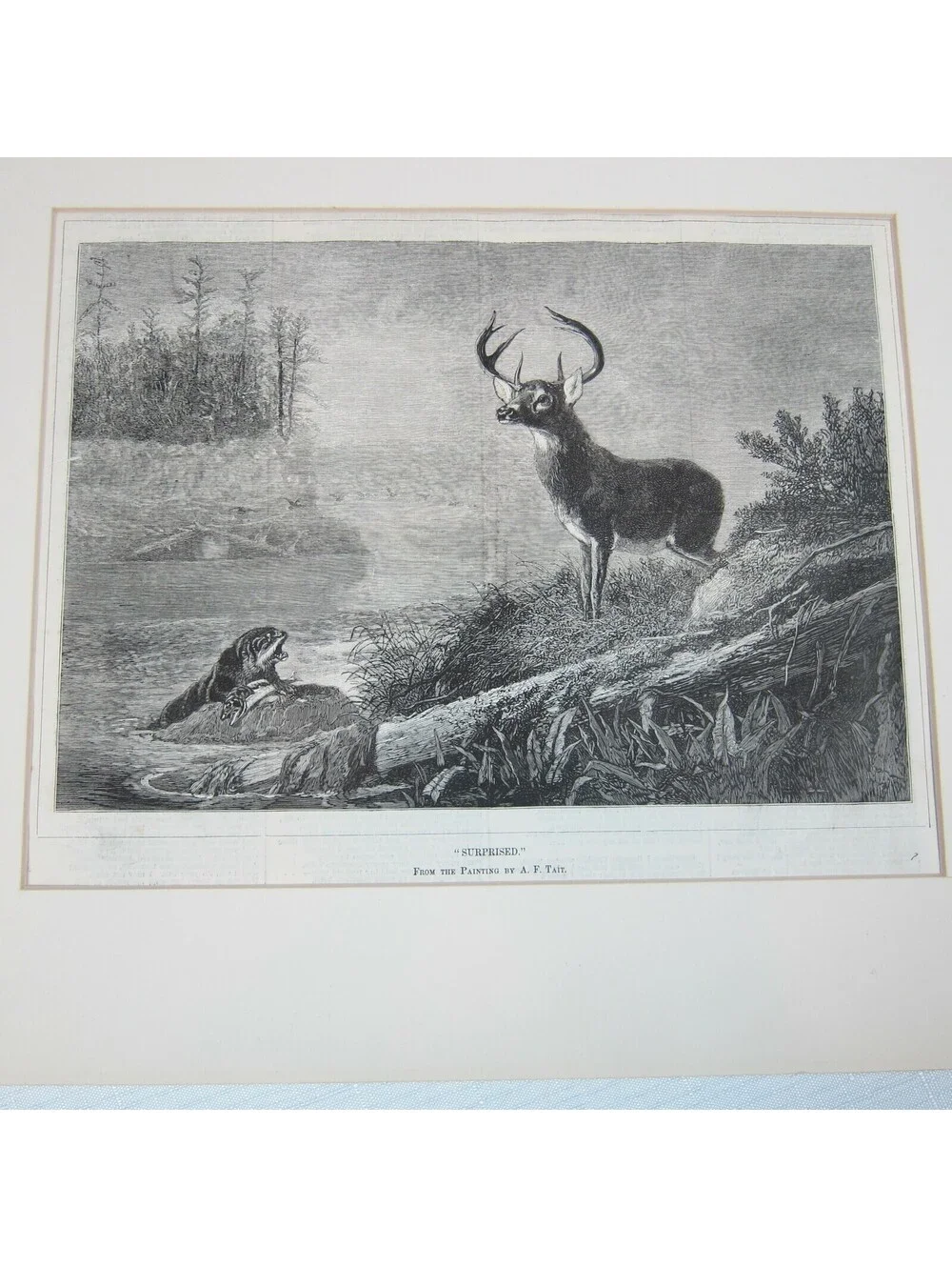 Antique 1800s Lake Deer Stag & Otter Print 